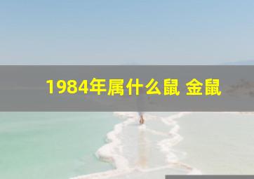 1984年属什么鼠 金鼠